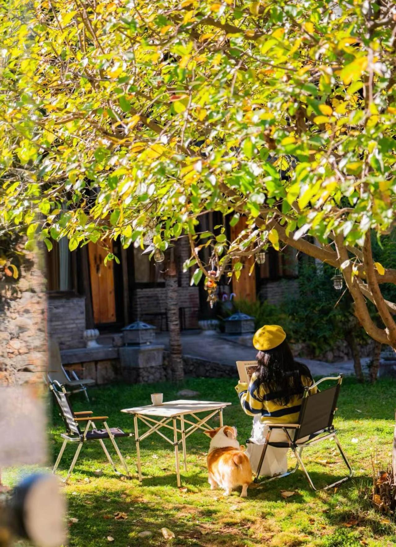 Adonis Inn Lijiang Lijiang  Bagian luar foto